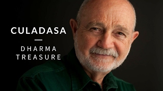 Joy & Meditation, Part 1, Introduction - Culadasa
