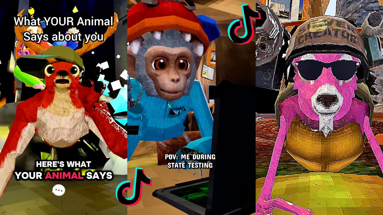 Animal Company 🐾🚨 The Most Chaotic Compilation You'll Ever See - YouTube