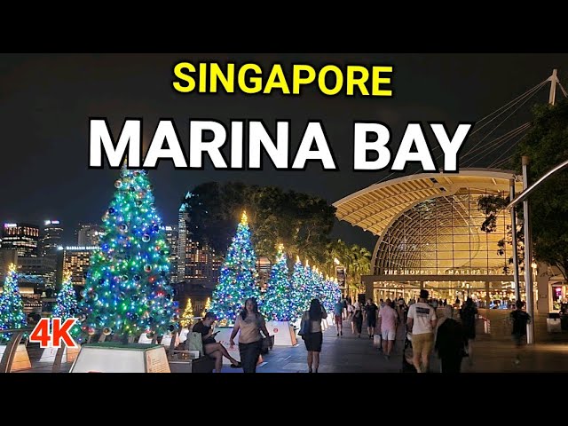 Singapore Marina Bay |  Inside Marina Bay Sands | Singapore Christmas 2023 class=