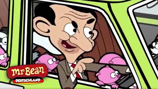 Mr. Beans Dachsbabys