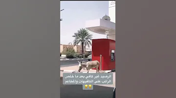 الحياة وسط 