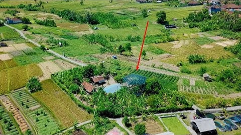 Video Keunggulan Program CSR Pertamina DPPU Ngurah Rai 2020