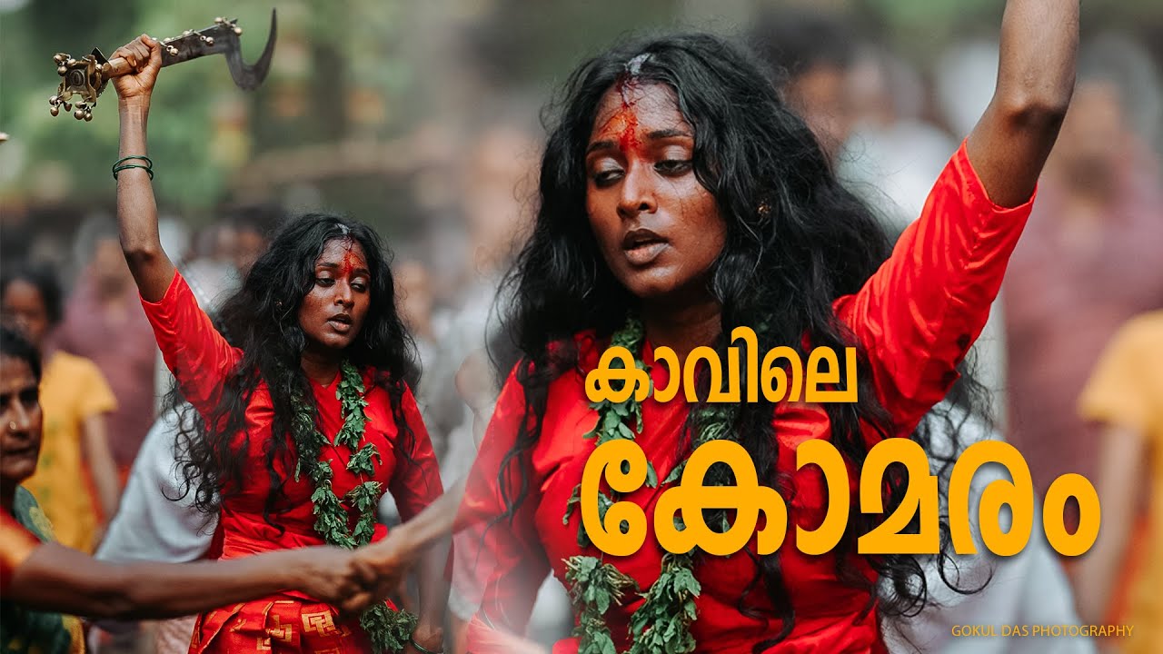 കാവിലെ കോമരം | Kodungallur Bharani 2025 | GOKUL DAS PHOTOGRAPHY