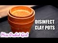 How to disinfect clay pots for reuse with Orchids and other plants