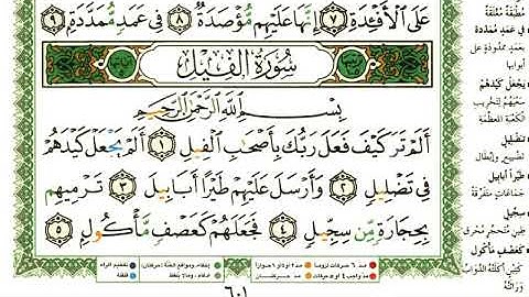 عبد الرحمن العوسي سورة الفيل بصوت القارئ عبد الرحمن العوسي المصحف الملون