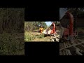 Коли є час на ТІК-ТОК!