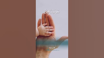 القرآن الكريم🌼☘