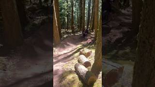 More hornby practice #hornby #island #mtb #aura #tuff #jump #gnar #bike #bikelife #sendit #gooners
