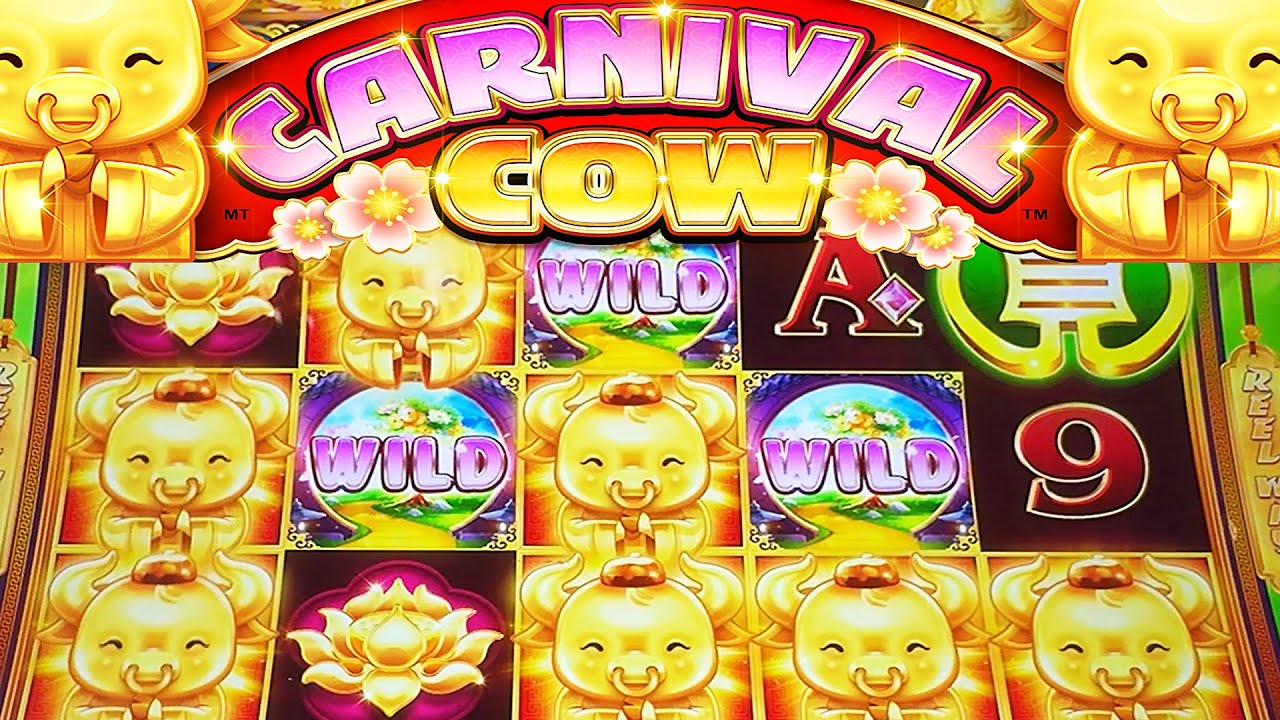 Nice Win! Coin Combo Carnival Cow slot Live Play and Bonus at the Peppermill Casino in Reno!
