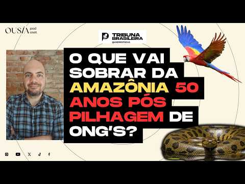 DENÚNCIA!! ESTÃO DETONANDO A AMAZÔNIA.