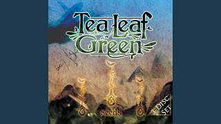 Video thumbnail of "Tea Leaf Green - Asphalt Funk"