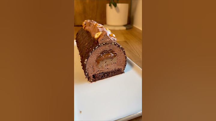 Ma Bûche 2023 : Chocolat Praliné Noisette | Recette de Noël