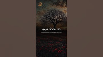 اكتب شيء تؤجر عليه 😴💚 قران كريم | عبد الرحمن مسعد