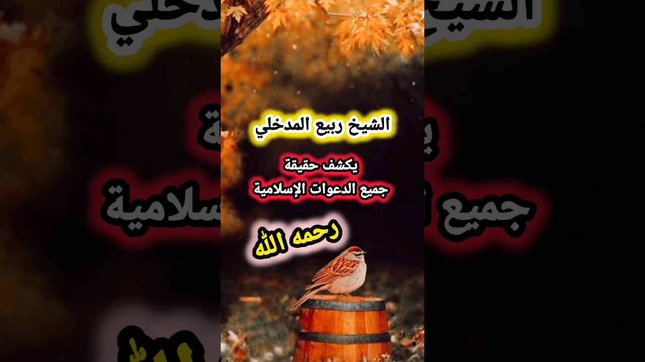 الشيخ ربيع المدخلي : يكشف حقيقة جميع الدعوات الإسلامية اليوم