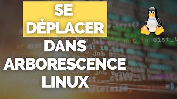 Se Déplacer dans le Terminal Linux | Commande CD [TUTORIEL SIMPLE]