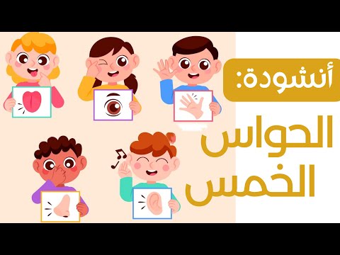 أنشودة الحواس الخمس أكرم ربي كل الناس