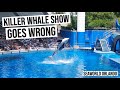 Seaworld Killer Whale Show Goes Wrong
