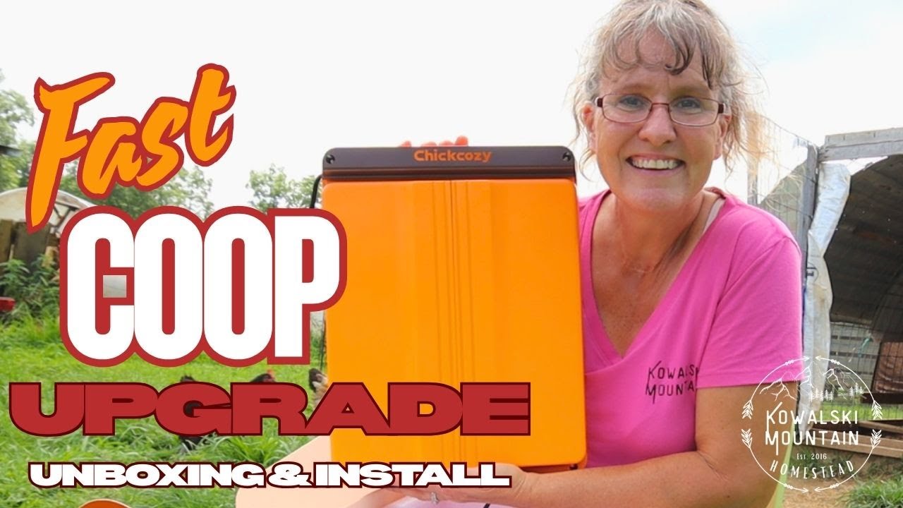 Can This Door Keep Our Chickens Safe All Night? ChickCozy