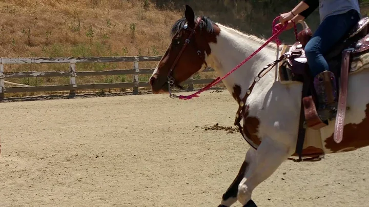 Nicole Hartmann & Bubbles- barrel racing approache...