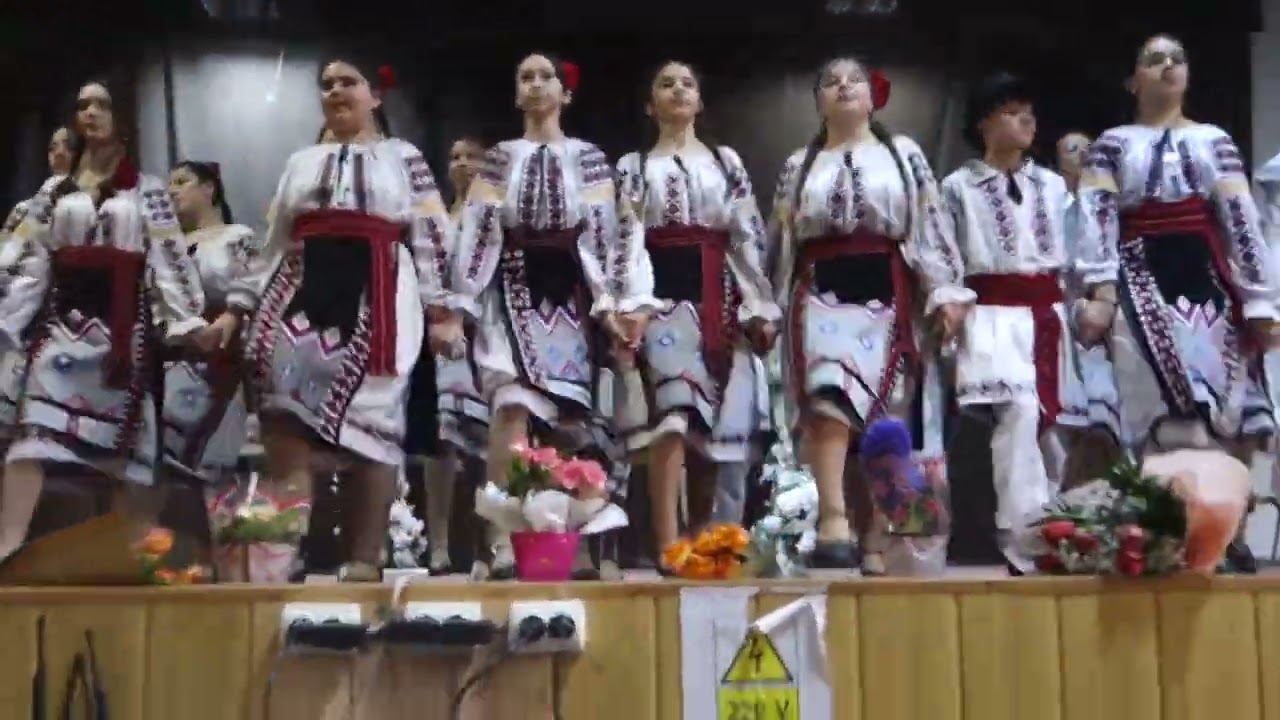 Suita ofițereasca Ansamblul Hora 