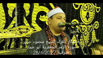 حكمدار القراء الشيخ محمود صابر سوره الزمر الجعفرية أبو حماد الشرقية 28/4/2022