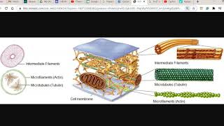 CB Unit 1 Lect 9