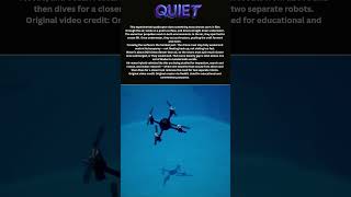 🚁 One Drone, Two Worlds — This Machine Flies the Sky and Dives the Ocean