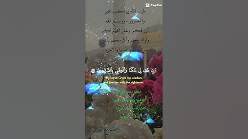 تلاوة خاشعة عطرة مباركة جميلة عذبة للشيخ فارس عباد ماتيسر من سورة الشعراء