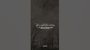 وجاءت سكرة الموت بالحق / محمد صديق منشاوي / سورة ق