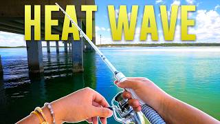 How To Catch FLOUNDER From SHORE During a Heatwave!
