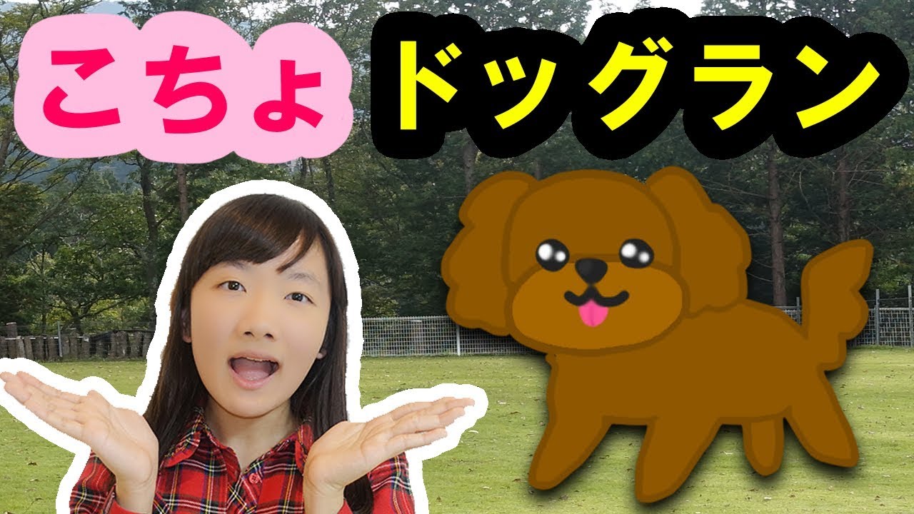 ★決定的瞬間！こちょ、初めての「お手！」の瞬間！★