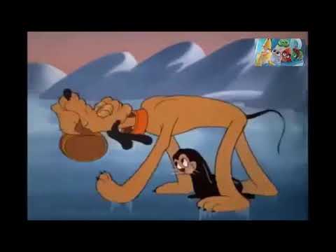 الكلب بلوتو وكلب البحر الكوميدى 