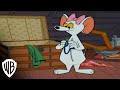 Tom and Jerry: The Chuck Jones Collection
 | Attractive Mouse | Warner Bros. Entertainment
