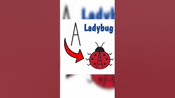 Ladybug Illustration in Adobe Illustrator 🐞 #easy #shorts #tutorial #illustartion #tips #vector #art