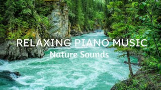 Relaxing Piano Music 🍃  Nature Sounds - Stress Relief, Deep Sleep, Anxiety & Depression, Heal Mind