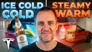 Tesla Model 3 Trunk Fridge Review: Perfect for Cold Beer & Baby Milk! (TlYard)