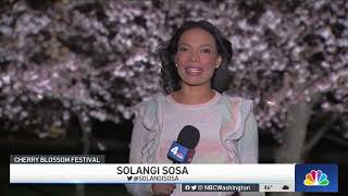 Cherry Blossom Festival Brings Couples, Families to Tidal Basin | NBC4 Washington