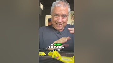 Unlocking Empathy: The Key to Understanding Others