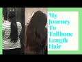 HOW TO GROW YOUR HAIR TO TAILBONE LENGTH | TIPS I USED TO GROW MY HAIR TO TAILBONE LENGTH