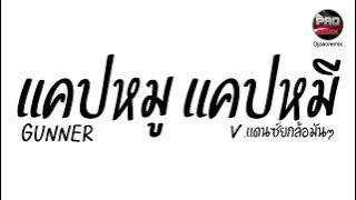 #มาแรงในTikTok ( แคปหมู แคปหมี - GUNNER ) V.แดนซ์ยกล้อมันๆ Pao Remix