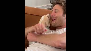 Glen Powell puppy play