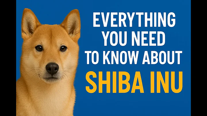 🐶6 Shiba Inu: The Most Independent Dog Breed! 🦊🔥