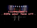 Cypecore - Chosen Chaos (Fan made lyric visualizer)