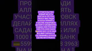 где вы любимцы аллаха мусульмане #аллах #юмор #аллоху #знания #мистика