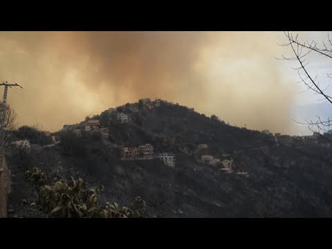 ალჟირში ტყის ხანძარს 42 ადამიანი ემსხვერპლა