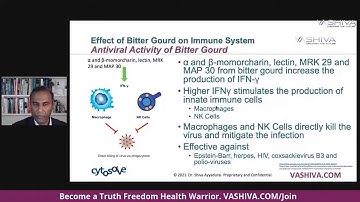 Dr.SHIVA™: Bitter Gourd on Immune Health @CytoSolve Systems Analysis(5/21)