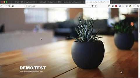 [WordPress] VVV: How to setup a custom site?