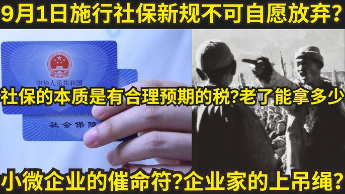 社保新規牛馬強製上繳糧草？小微企業的催命符？企業家的上吊繩？劃不劃算？全民社保- YouTube