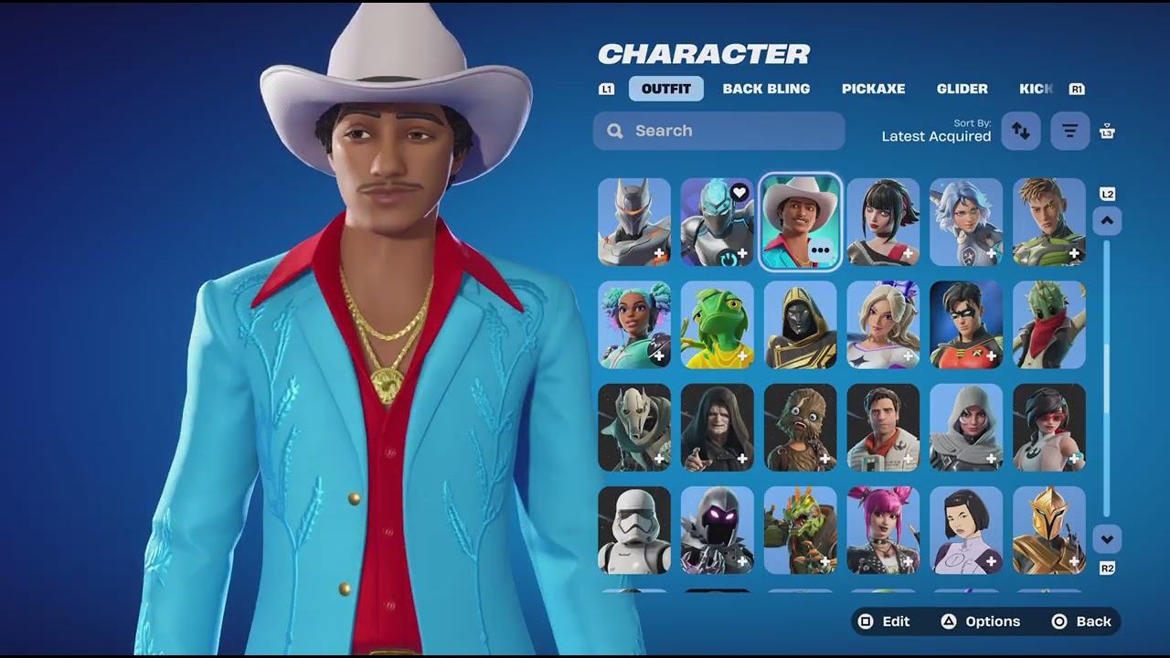 My Fortnite locker after a year