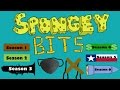 Every Patchy Appearance Season 1-6 Reviewed! [Spongey Bits]